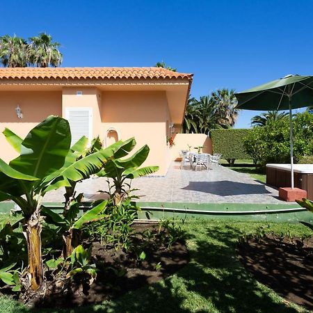 Finca La Gaviota - Los Limoneros Icod De Los Vinos Exterior photo